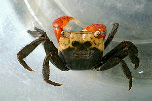 �����Ă���