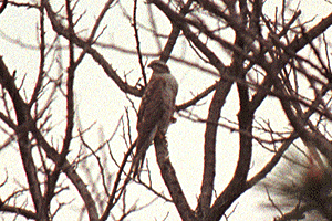 �͂�����