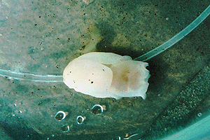 �����킽����