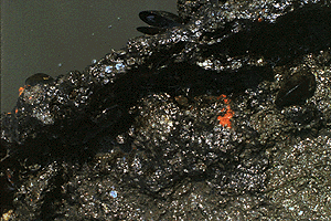 ���낢�������߂�