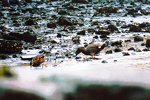 �����悵����