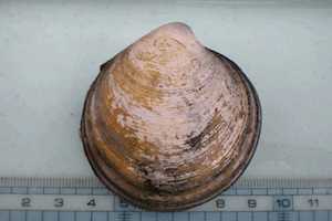 �I�L�V�W�~