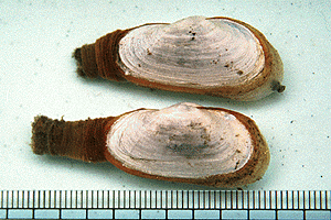 �\�g�I���K�C