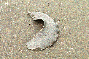 ���Ȃ�����