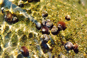 ���܂���