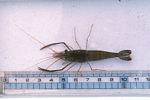 �e�i�K�G�r