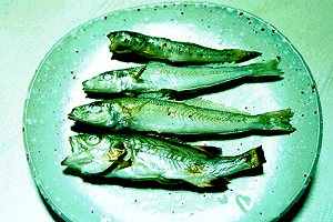 �₫������