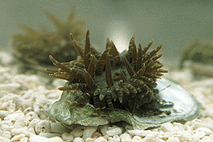 ��낢�������񂿂Ⴍ